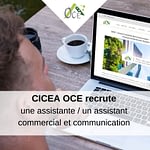 Assitante /Assistant commercial et communication